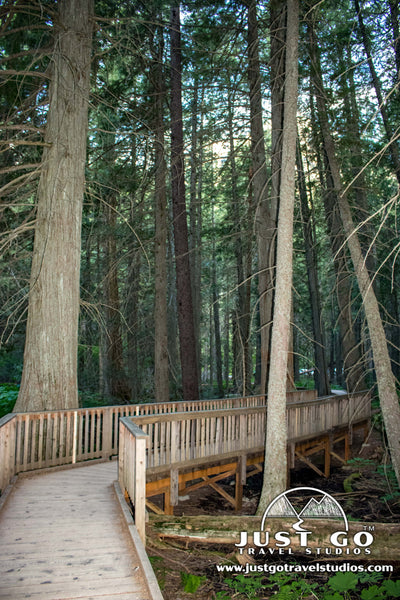 Trail of the cedars in Glacier National Park