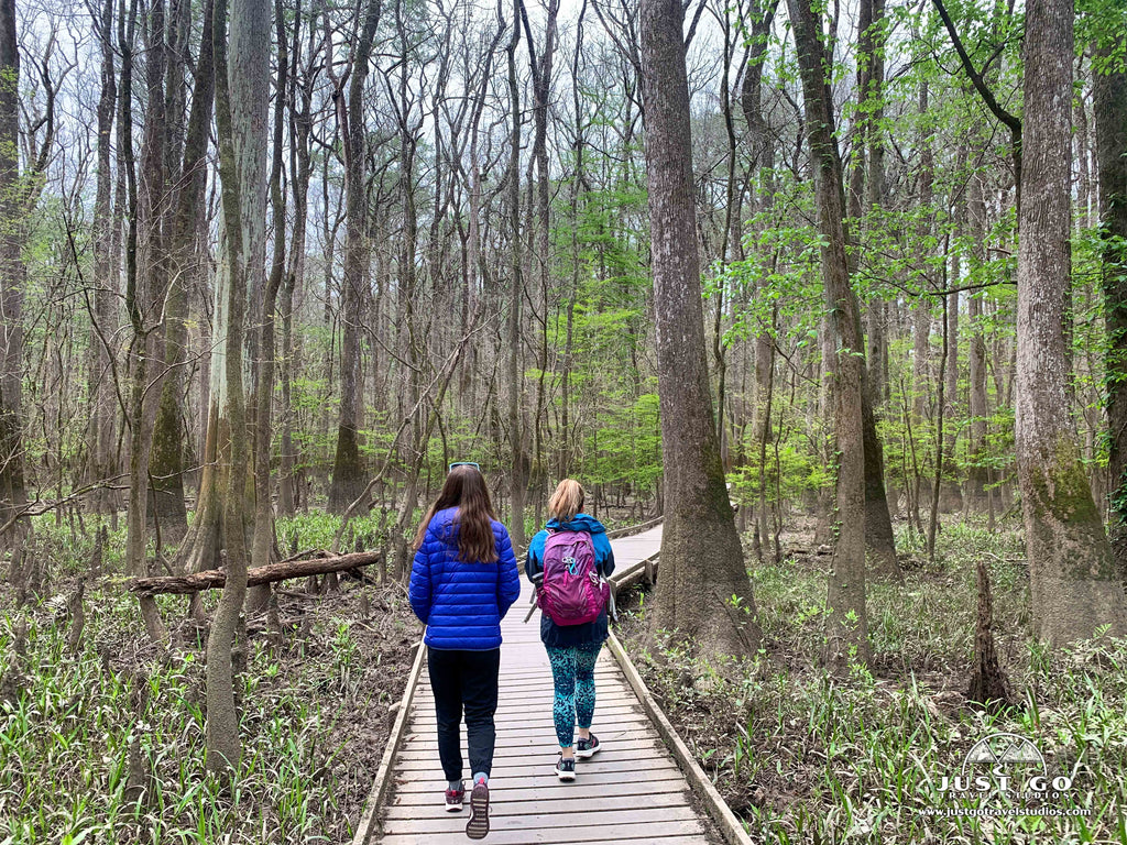 congaree national park walkway