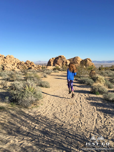 Indian Cove Nature Trail in Joshua Tree National Park