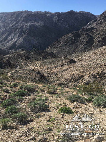 Fortynine palms oasis trail in Joshua Tree National Park