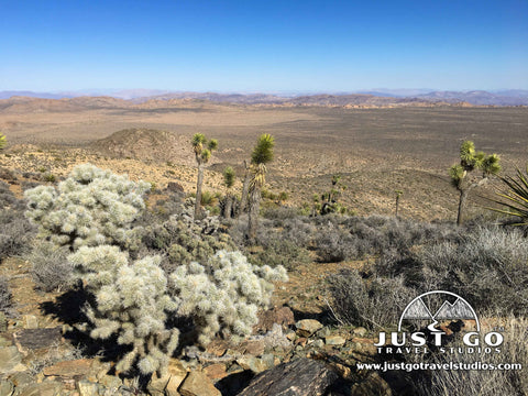 View from the peak of Ryan Mountain in Joshua Tree National Park