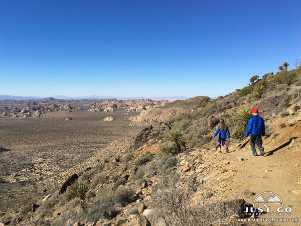 Ryan Mountain Trail in Joshua Tree National Park