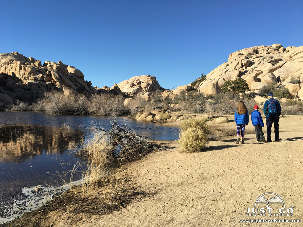 barker dam nature trail in joshua tree national park