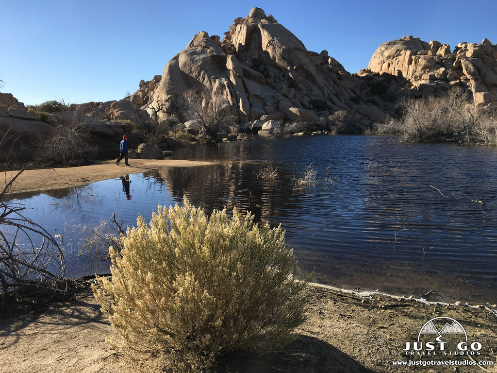 barker dam nature trail in joshua tree national park