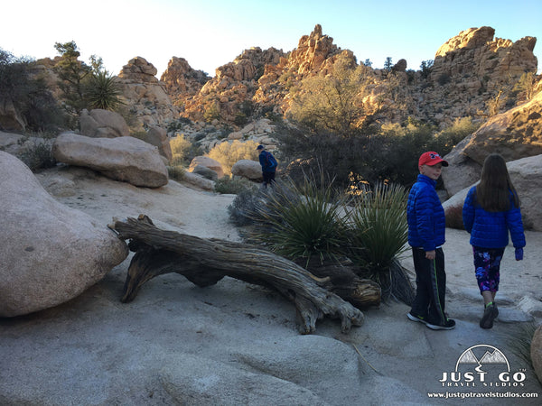 Hidden Valley Trail in Joshua Tree National Park