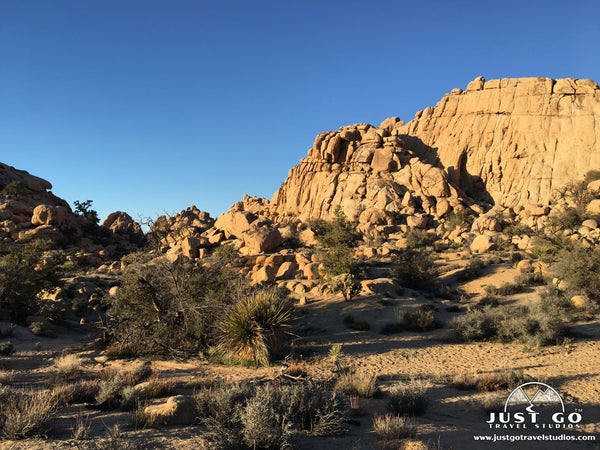 Hidden Valley Trail in Joshua Tree National Park