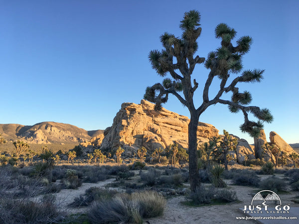 Hidden Valley Trail in Joshua Tree National Park