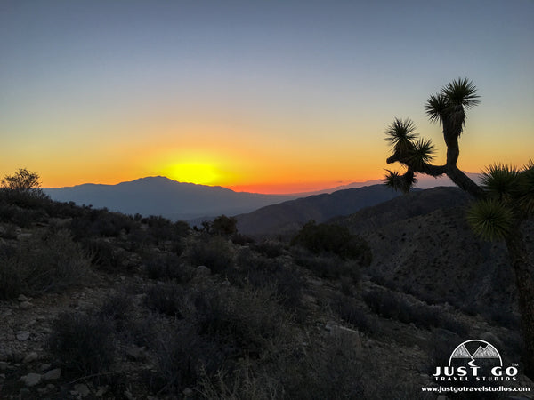 Keys View in Joshua Tree National Park