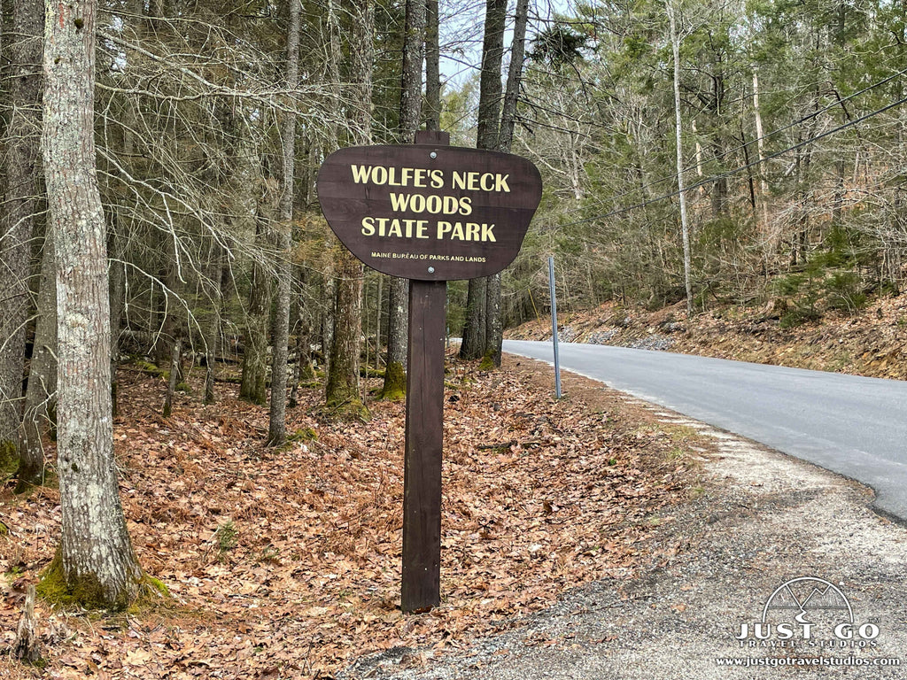 what to see and do in wolfe's neck woods state park