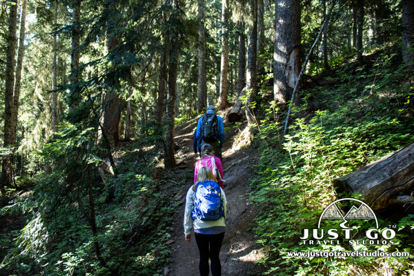 North Cascades National Park Trail ascent