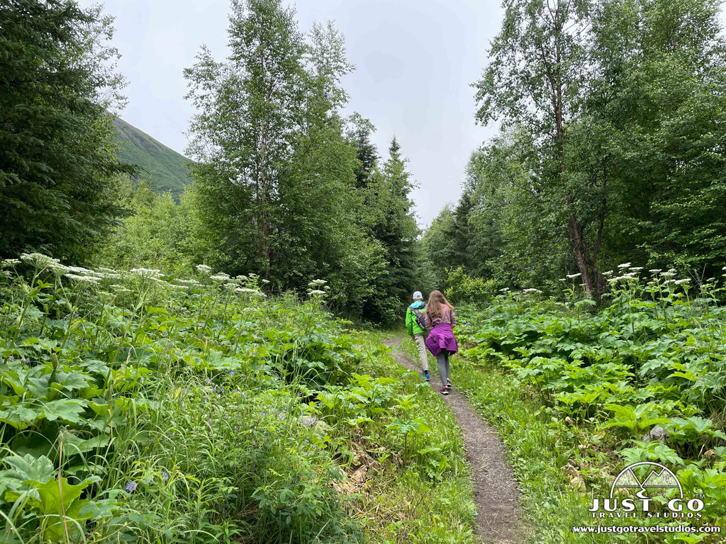 Rodak Nature Trail at Eagle River Nature Center