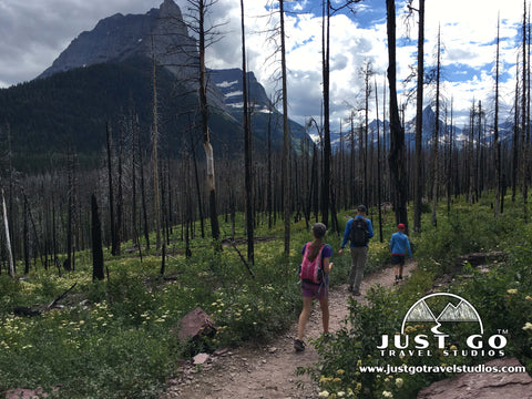 Hike to St. Mary Falls in Glacier National Park