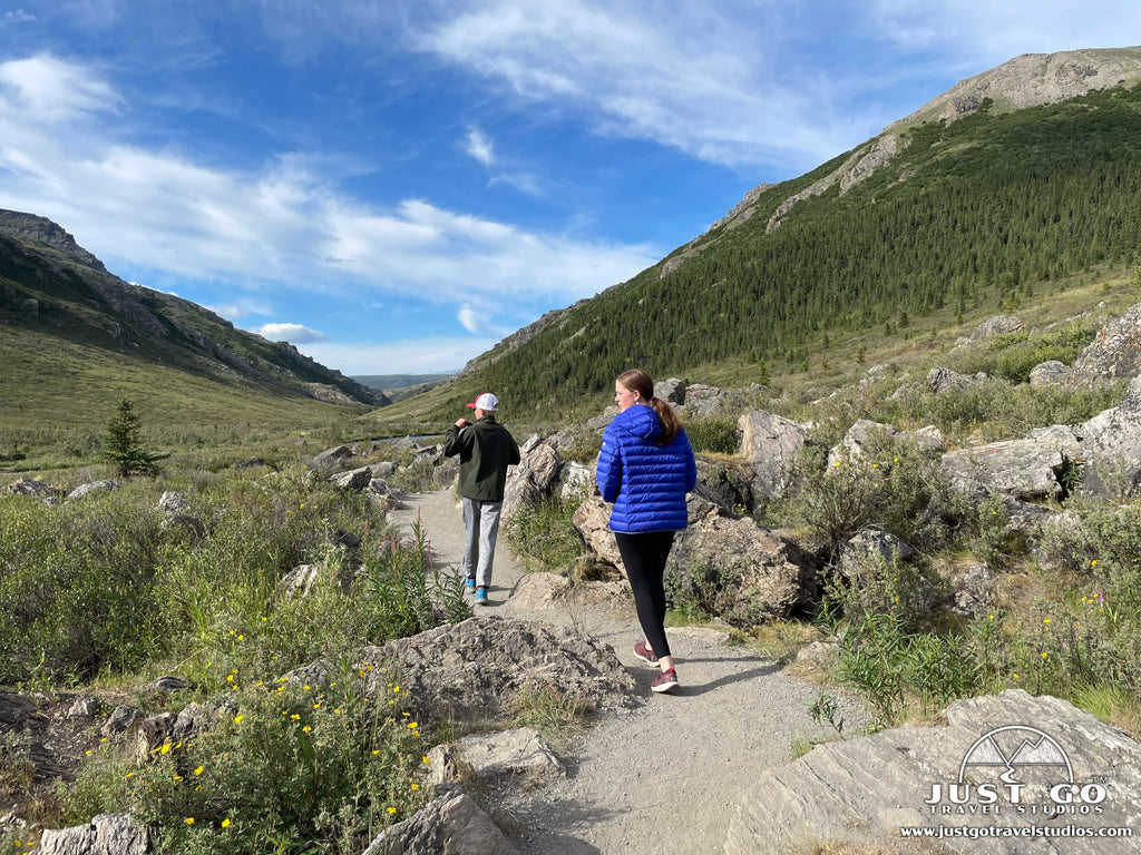 savage river loop in Denali National Park