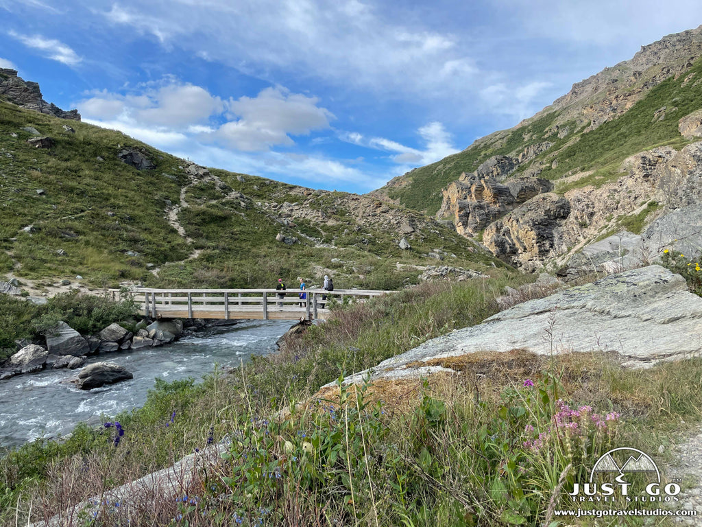 savage river loop in Denali National Park