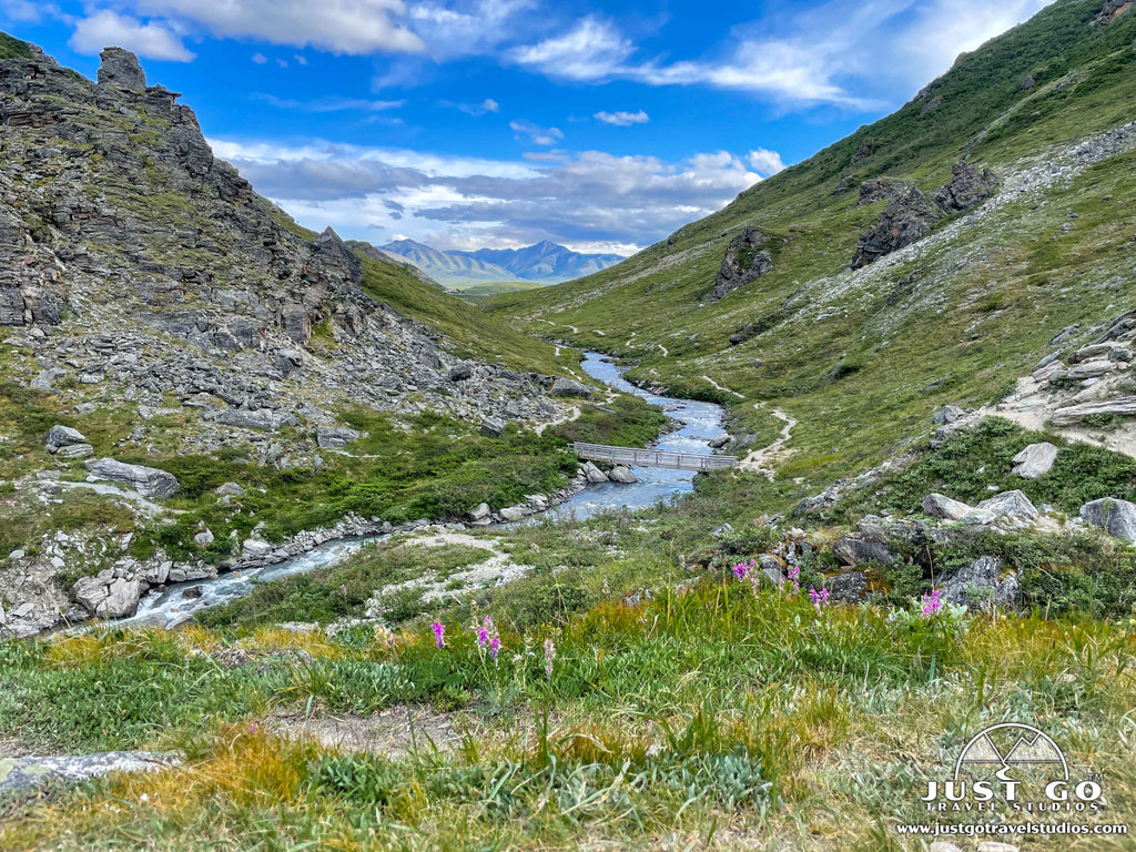 savage river loop in Denali National Park