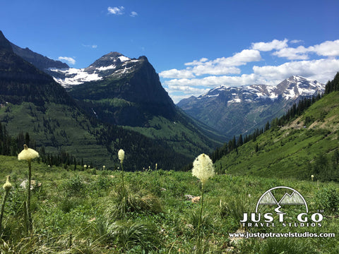 Going to the sun road in Glacier National Park