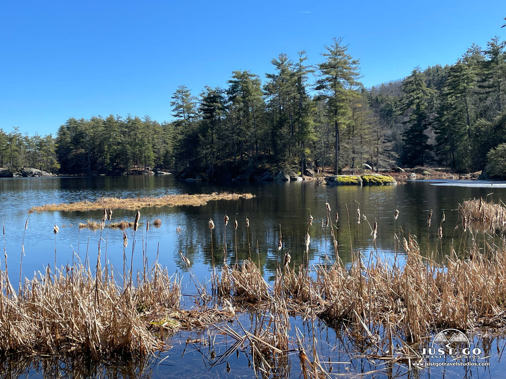 pawtuckaway state park things to do