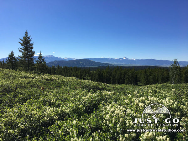 Hiking back from Taggart Lake in grand Teton National Park