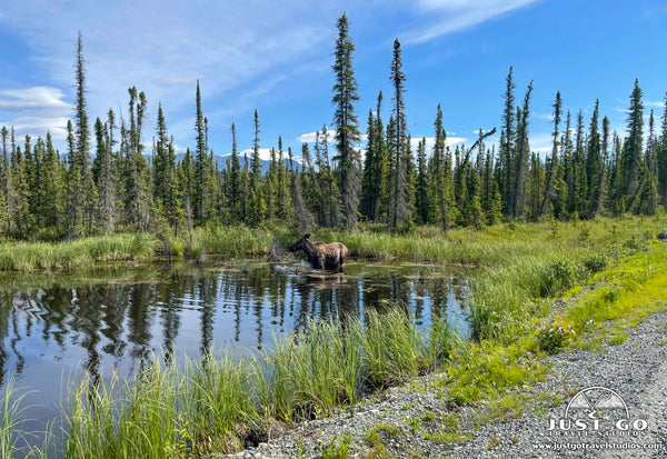 what to see and do in wrangell st. elias national park