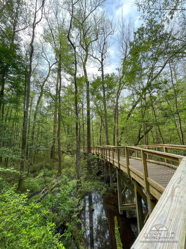 boardwalk loop trail in congaree national park