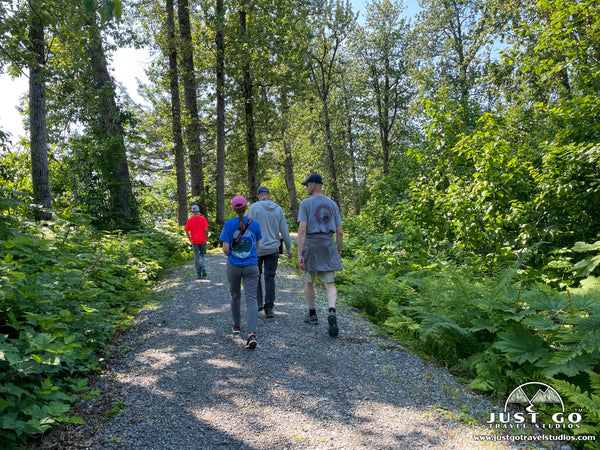 homestead trail in valdez