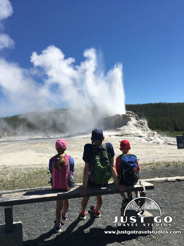 Castle Geyser in Yellowstone National Park