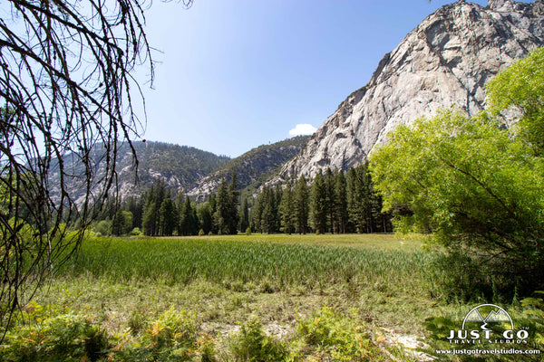 Zumwalt Meadow Trail in Kings Canyon National Park