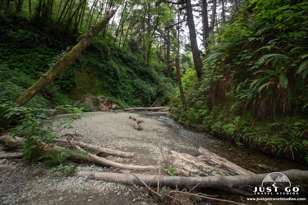 Fern Canyon Trail