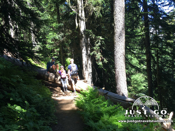 Hiking over a tree in North Cascades National Park