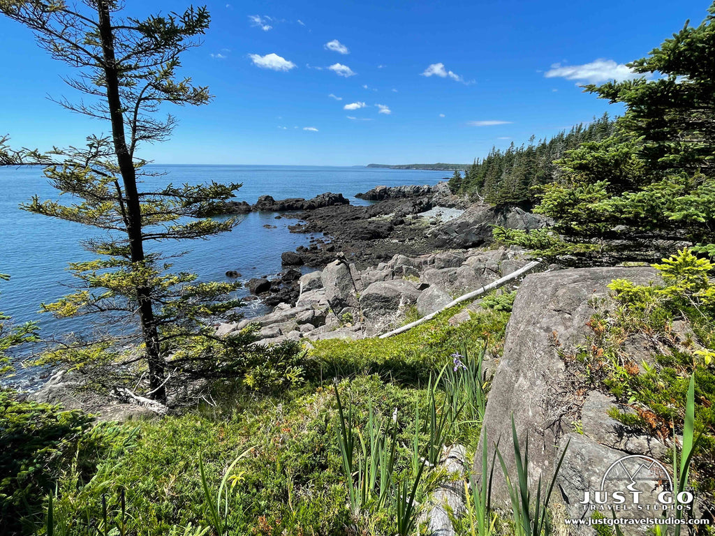 Quoddy Head State Park What to See and Do