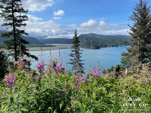 grewingk glacier trail in kachemak bay state park