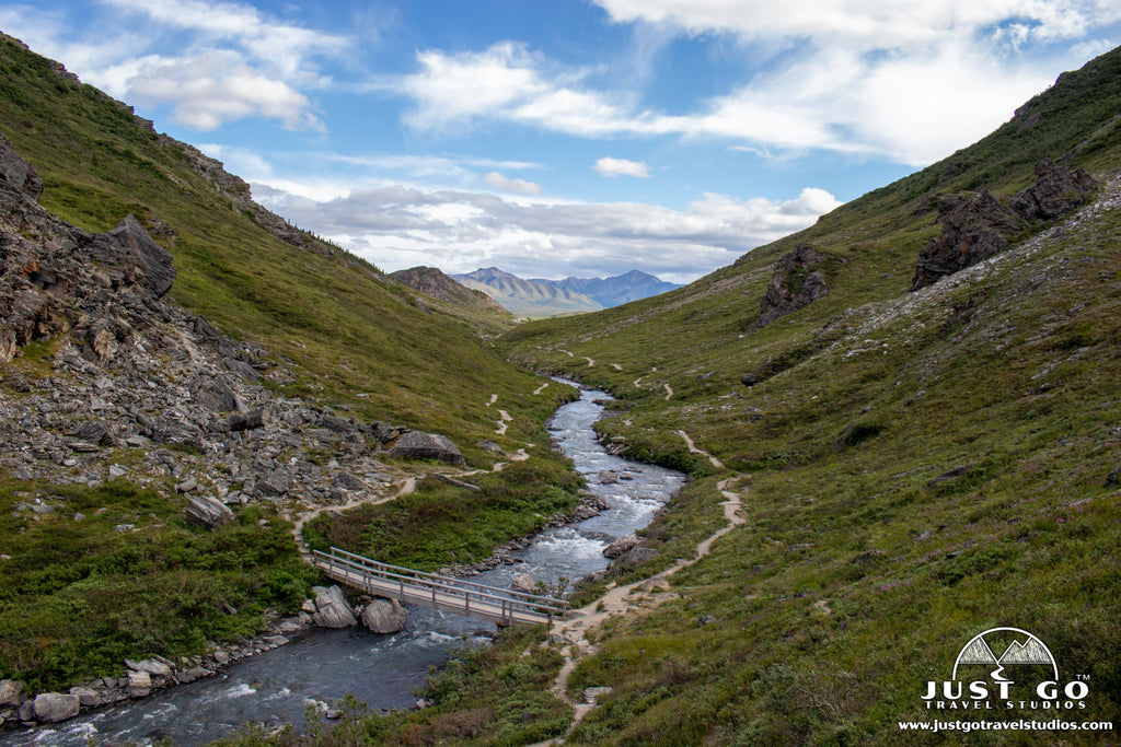 savage river loop in Denali National Park