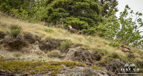 what to see and do in Wrangell St. Elias national park