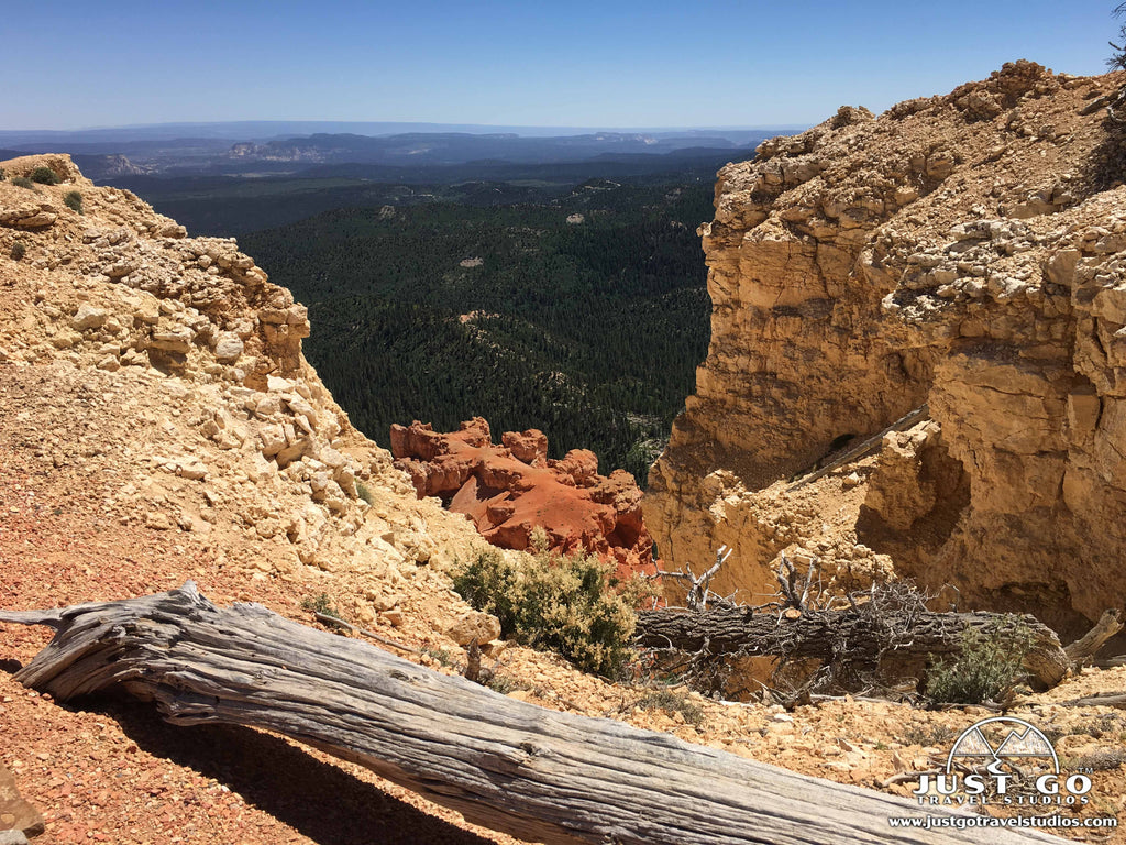 Bristlecone Pine loop trail in Bryce Canyon National Park