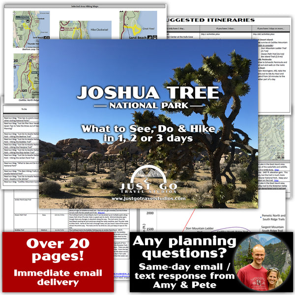 joshua tree national park guide