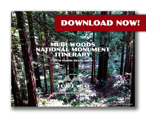 muir woods national monument itinerary