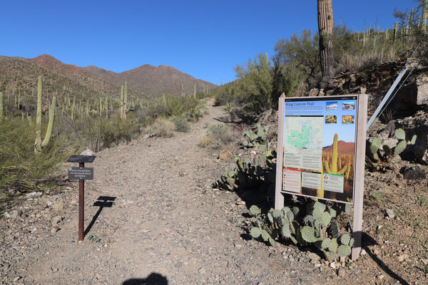 King Canyon Trail in Saguaro National Park