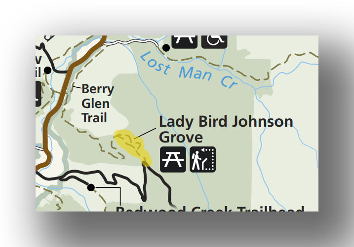 Lady Bird Johnson Trail map in Redwood National Park