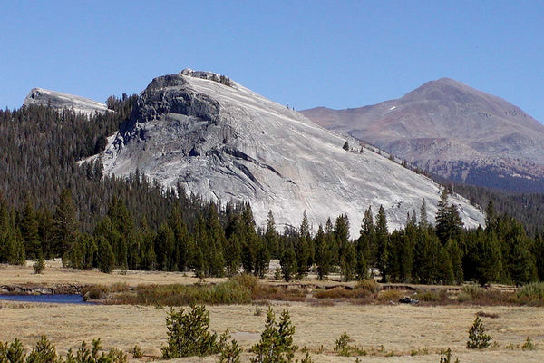 Lembert Dome Yosemite National Park