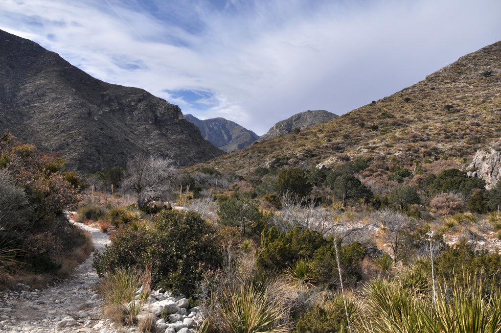 McKittrick Canyon Trail, image courtesy of Clinton Steeds