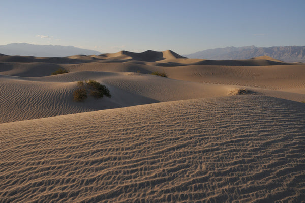 Mesquite Flat Sand Dunes in Death Valley National Park