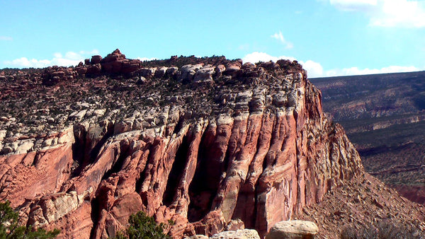 Navajo Knobs trail
