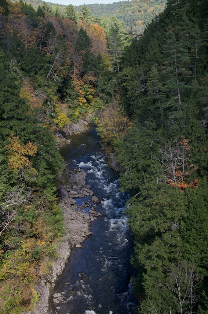 What to See and Do in Quechee State Park