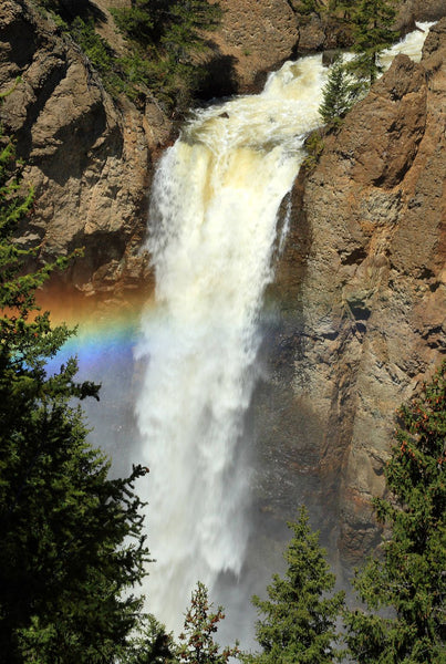 Tower falls in Yellowstone national park