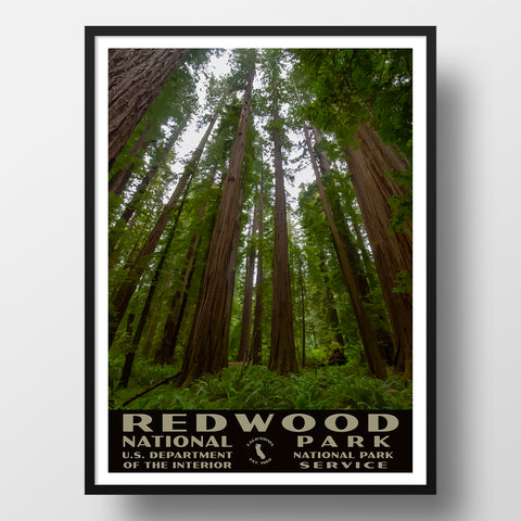 Vintage Redwood National Park Poster