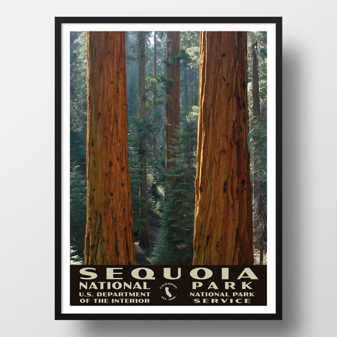 Sequoia National Park Poster