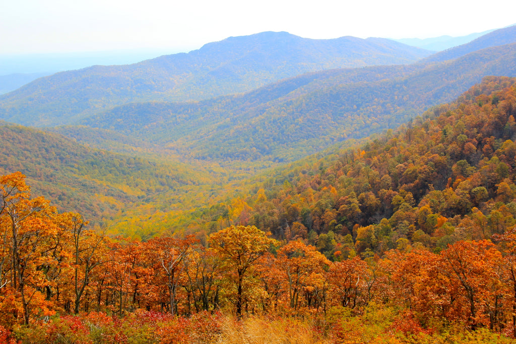 best national parks in the fall