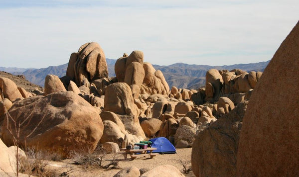 camping in Joshua Tree National Park