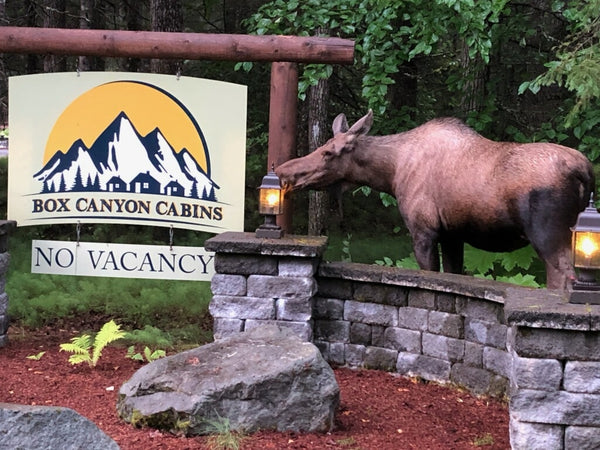 Box Canyon Cabins in Seward Alaska