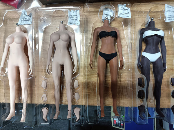 Phicen/TBLeague Mid-2019 Female Body Comparison (with S29B…
